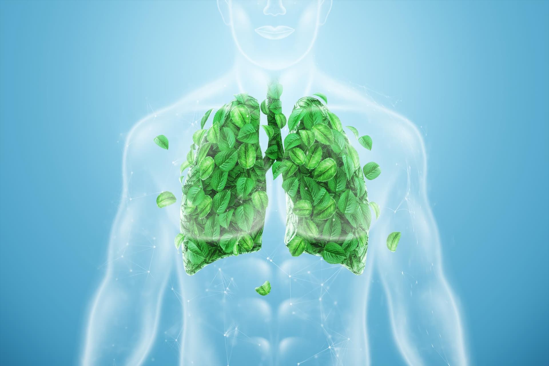 How to Detox Your Lungs Naturally (And What Actually Works)